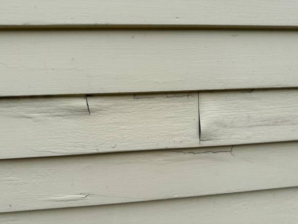 Best Wood Siding Installation  in Lemoore Station, CA